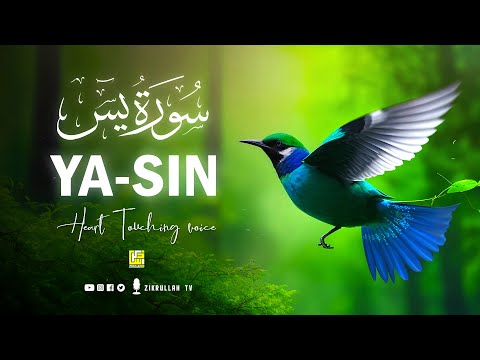 World's most beautiful recitation of Surah Yasin (Yaseen) سورة يس | Zikrullah TV