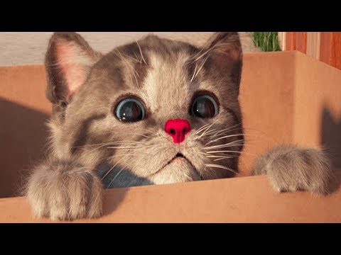 Little Kitten My Favorite Cat - Play Fun Kitten Pet Care Animation Games For Children By Fox &amp; Sheep