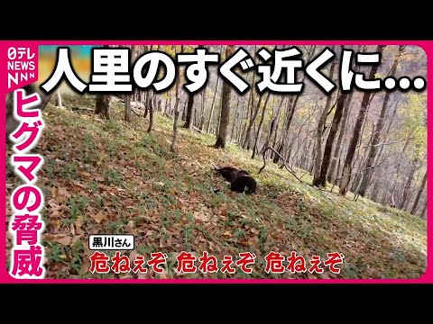 【 ヒグマ猟師と山の中へ】人里近くに残る足跡の先には【バンキシャ！】