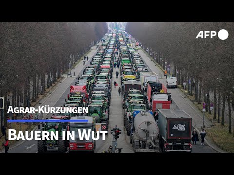 Tausende Bauern protestieren gegen Agrar-K&uuml;rzungen | AFP