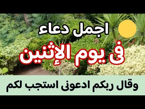 دعاء جميل كل يوم من رجب ~ دعاء طلب الخير واصلاح الحال و دفع البلاء ~ ادعية رجب ~ شهر رجب 