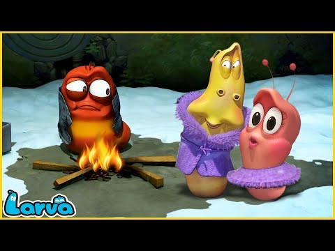 LARVA 2024 - TOP 100 EPISODE | CARTOON NEW VERSION | CARTOONS FOR LIFE | THE BEST OF CARTOON BOX