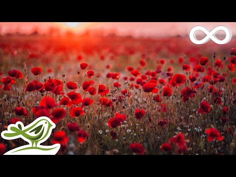 Beautiful Piano Music: Relaxing Music, Romantic Music, Sleep Music, Study Music ★132