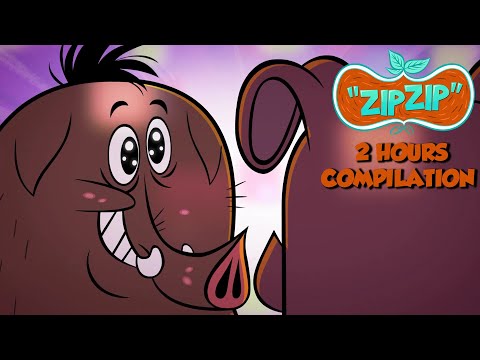 Love is in the air | Zip Zip | 2 hours  COMPILATION - Season 2 | Cartoon for kids