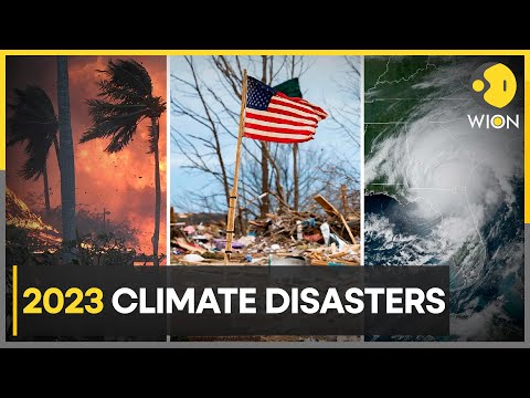 Climate Disasters in the year 2023 | Latest News | WION