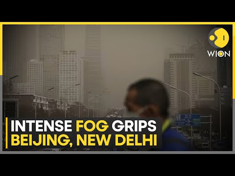 Dense fog grips Asian countries: Thick fog reduces visibility in Beijing, New Delhi | WION