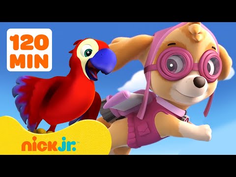 PAW Patrol Pups Rescue Parrots, Kittens &amp; Skunks 🦜 w/ Skye &amp; Zuma | 2 Hour Compilation | Nick Jr.