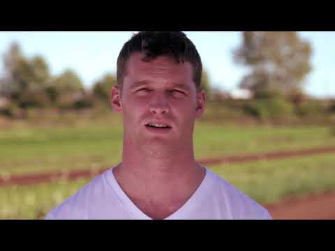 Letterkenny Problems: &quot;The Produce Stand&quot;