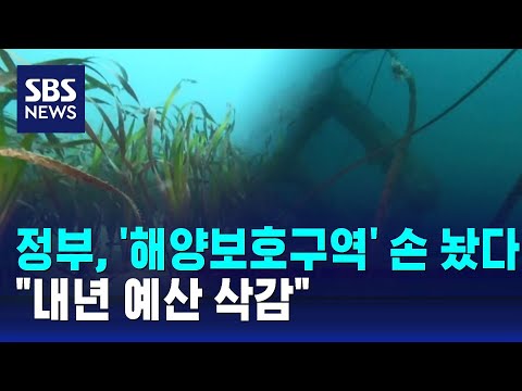 해양보호구역, 지정해 놓고 관리 안 해&hellip;&quot;내년 예산 삭감&quot; / SBS