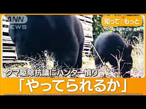 クマ討伐隊「パートに命かけられない」OSO越えクマも【詳細版】【知ってもっと】(2023年11月13日)