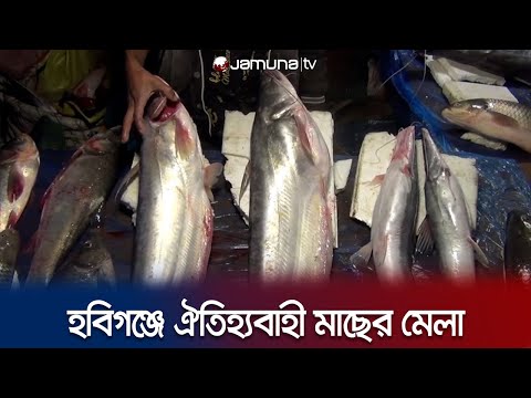 হবিগঞ্জের ঐতিহ্যবাহী মাছের মেলা | Habiganj Fish Fair | Big Fish | Jamuna TV