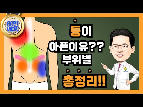 등이 아픈이유? 부위별 연관통 증상 과 담적병 (담적보감㉘)