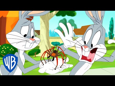 Looney Tunes | Are You Afraid of Spiders? | WB Kids