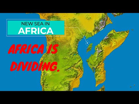 What Is Happening in Africa?