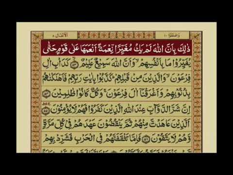 Quran-Para 10/30 Arabic-Urdu Translation