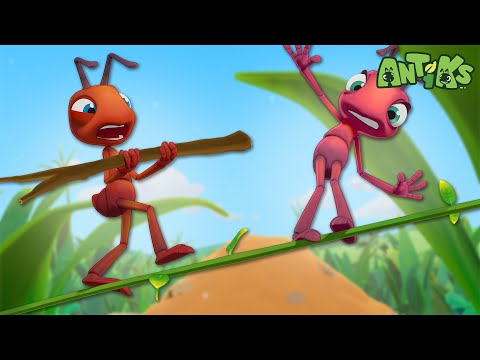 High Wire Act | 🐛 Antiks &amp; Insectibles 🐜 | Funny Cartoons for Kids | Moonbug