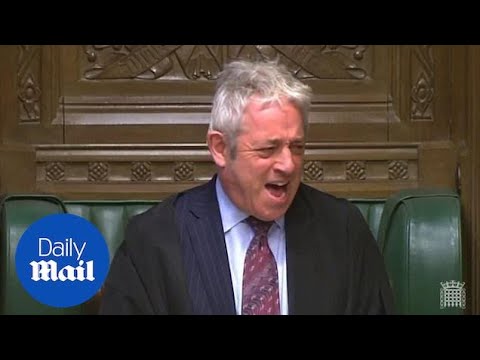 John Bercow demands 'order' after Labour MP shouts 'ahoy there!'