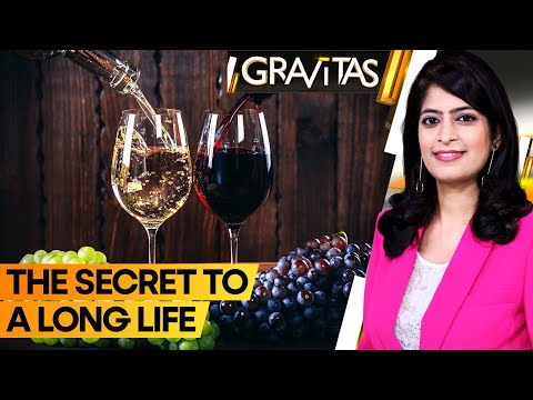 Gravitas: Avoid wine and cheese to live longer?