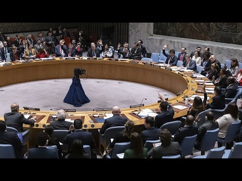 Emergency U.N. Meeting on Red Sea Security Amid Escalating Houthi Attacks