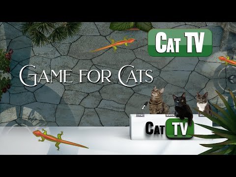 Cat Games Lizard | Larry the BACKYARD Lizard  | Cat TV