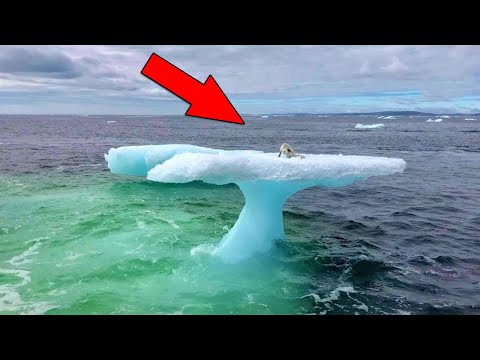 Fishermen Thought It Was a Seal on an Iceberg But They Were Shocked to Realize Who It Actually Was