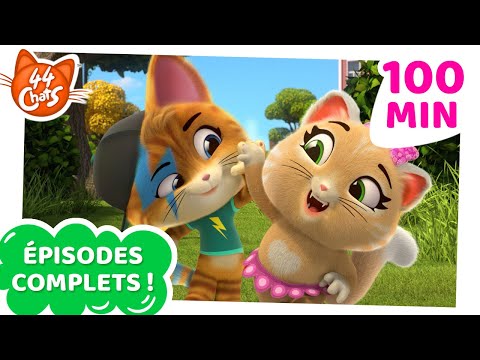 44 Chats | 8 &eacute;pisodes complets ! 😺 Les Mystichats : des amis chattastiques !