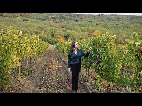 Moldavia: un piccolo Paese con una grande passione per il vino