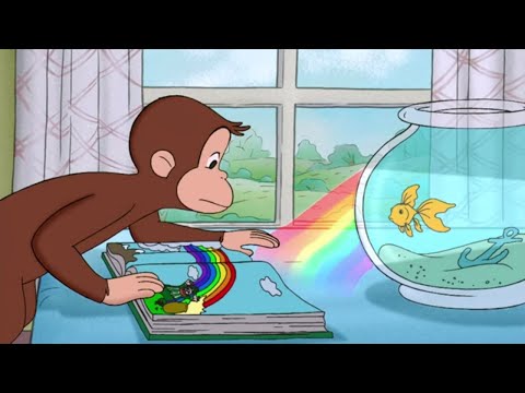 George and the Real Rainbow | Curious George | Cartoons for Kids | WildBrain Kids