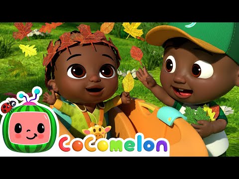 Colorful Autumn Leaves | CoComelon - Cody Time | CoComelon Songs for Kids &amp; Nursery Rhymes