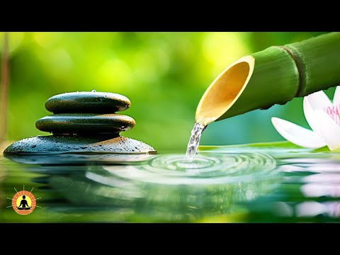 🔴 Relaxing Zen Music 24/7, Stress Relief Music, Sleep Music, Meditation Music, Study, Nature Sounds