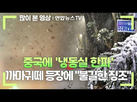 중국에 '냉동실 한파'&hellip;폭설에 천둥&middot;까마귀떼 등장에 &quot;불길한 징조&quot; / 연합뉴스TV (YonhapnewsTV)