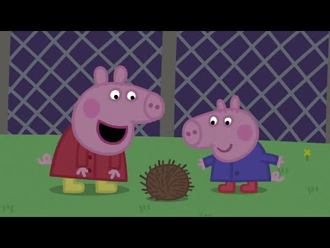 🔴 Nonstop Peppa Pig Livestream - Join the Fun 24/7! 🐷🎉