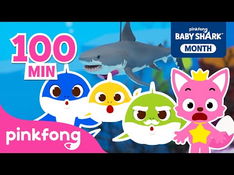 Pinkfong's Best 15 Story Compilation | Hide and Seek, Dinosaurs &amp; Car Story | Pinkfong Baby Shark