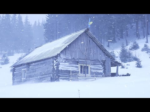 hiding in an abandoned log cabin during a snowstorm