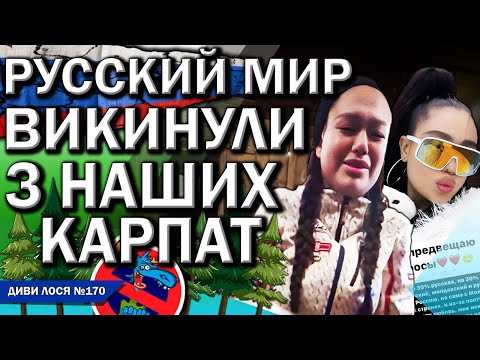 РУССКИЙ МИР приперся в КАРПАТИ на НОВИЙ РІК. Спонсор ОКУПАНТА ПОЛИТИКОЙ НЕ ИНТЕРЕСУЮСЬ. СБУ викинула