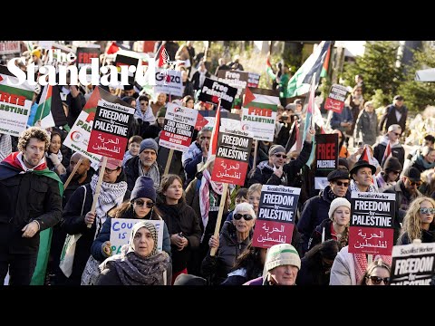 Tens of thousands march for ceasefire in Gaza amid temporary truce