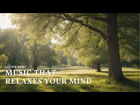 Music that relaxes your mind | Good music to listen to while reading | 마음을 편안하게 해주는 음악 | 독서 | 명상