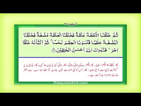 Para 18 Juz 18 - Qad aflaha HD Quran Urdu Hindi Translation