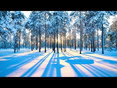 Beautiful Relaxing Music - Stop Overthinking, Stress Relief Music, Sleep Music, Calming Music #35