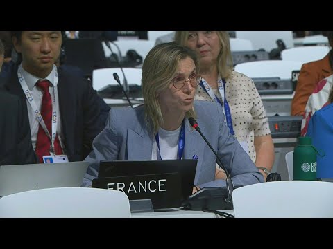 COP28: Agn&egrave;s Pannier-Runacher salue &quot;une victoire du multilat&eacute;ralisme&quot; | AFP Extrait