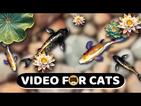 CAT GAMES - Relaxing Koi Fish Pond. Videos for Cats | CAT TV | 1 Hour.