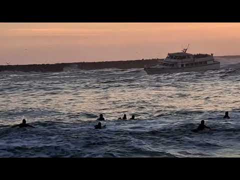 Legacy Whale Watch Enters Dangerous Mission Bay Channel 12 28 2023