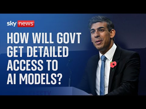 AI summit: How will governments get more detailed access to AI models?