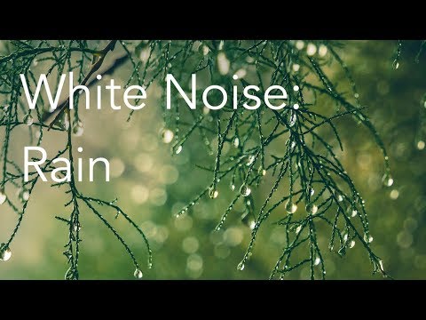 Rain Sounds for Relaxing, Focus or Deep Sleep | Nature White Noise | 8 Hour Video