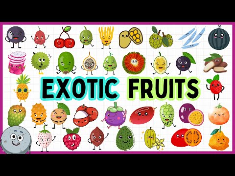 40 Exotic Fruits Name for Kids - Learn Exotic Fruits for Children