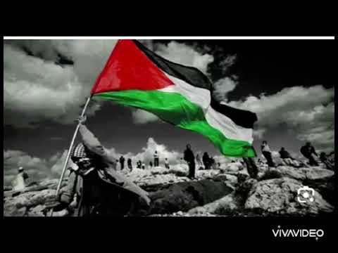 فلسطين بلادنا وإسرائيل كلابنا 🙆🙆💗