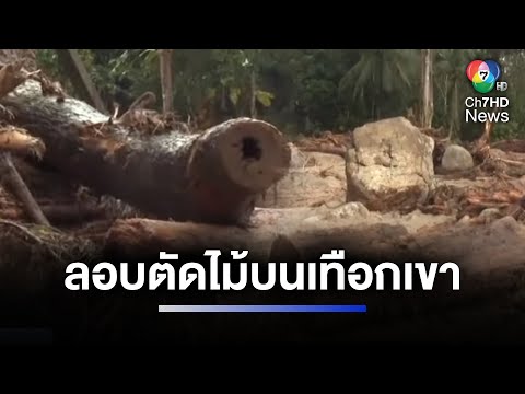 ลักลอบตัดไม้ น้ำป่าซัดท่อนซุงลงน้ำตกซีโป จ.นราธิวาส | ห้องข่าวภาคเที่ยง