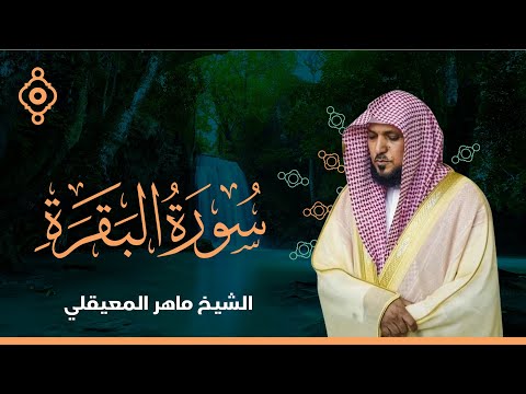 سورة البقرة القارئ الشيخ ماهر المعيقلي القران الكريم مباشر  Surat Al-Baqarah Quran Recitation