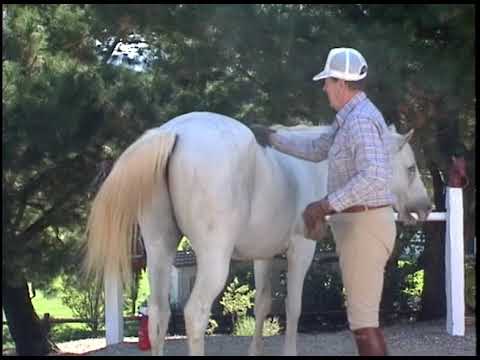 President Reagan Horseback Riding at Rancho Del Cielo on September 3, 1988