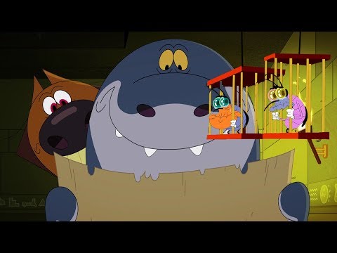 Zig &amp; Sharko - Oggy et les cafards 🧭 La carte 🧭 Episodes complets en HD